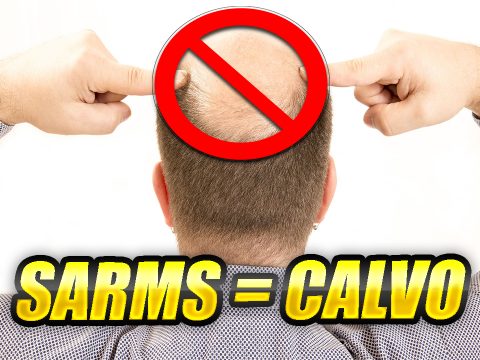 sarms calvo